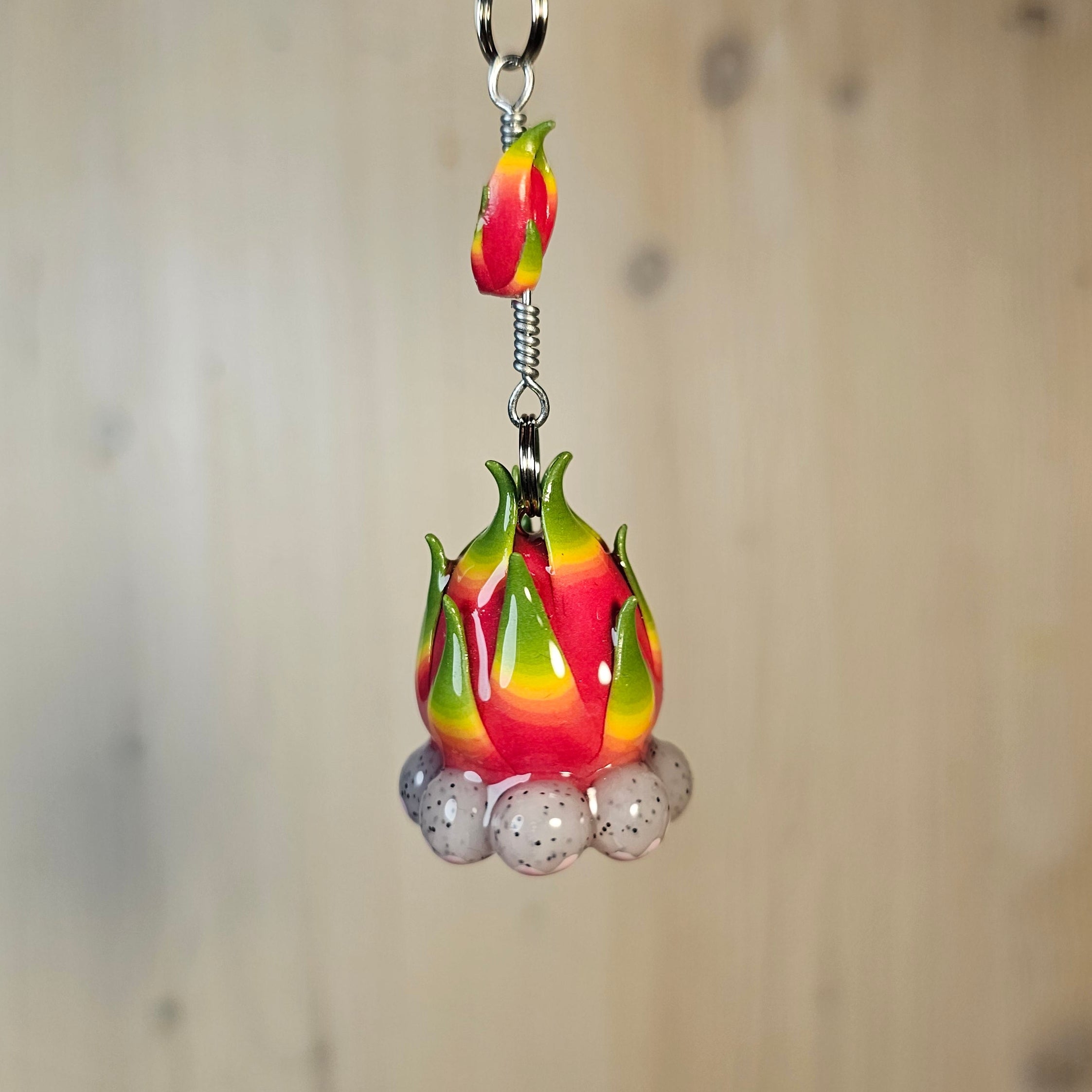 Pitaya-kissameduusa Koriste