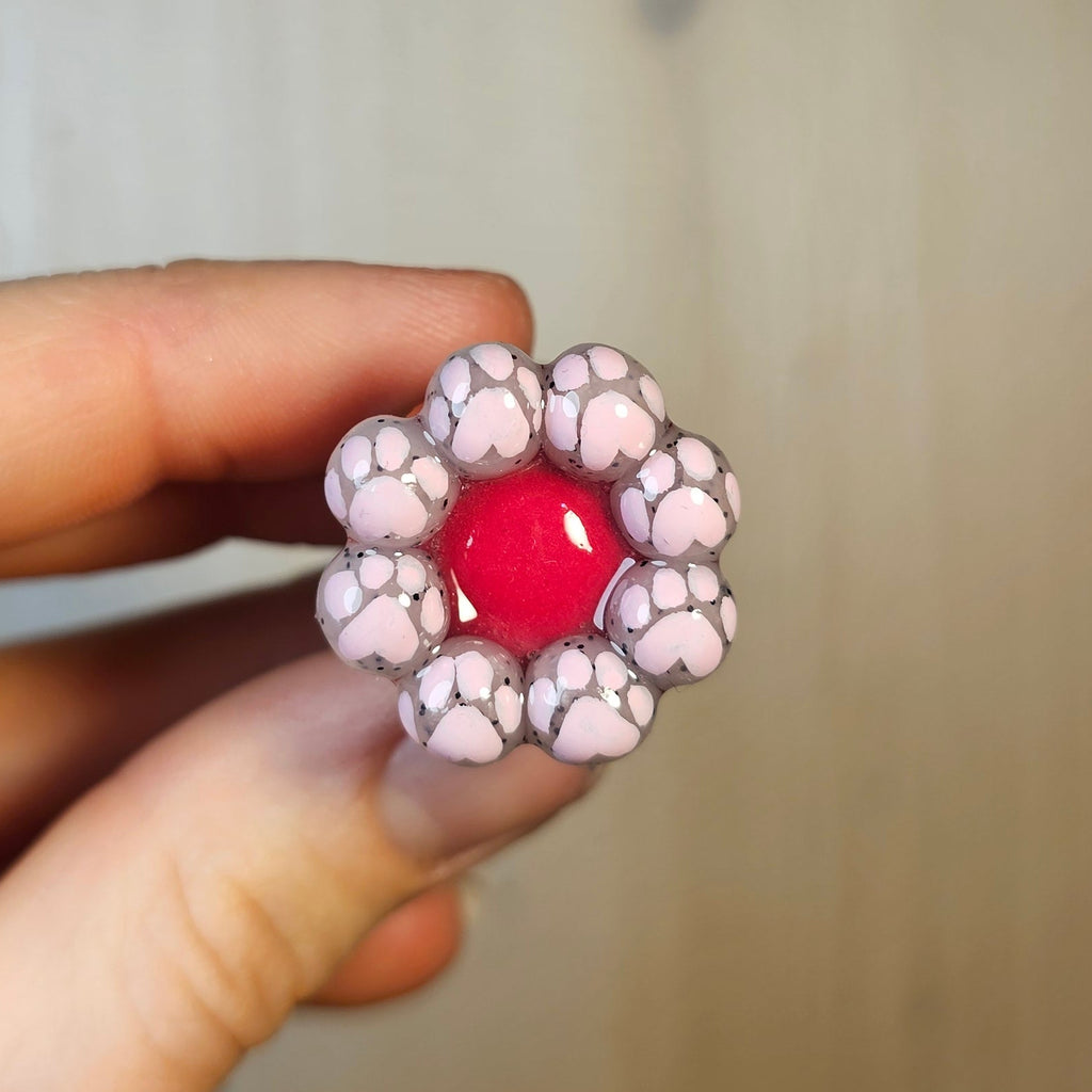 Pitaya-kissameduusa Koriste